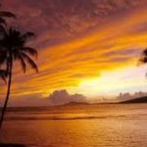 Meet your Posher, Rose